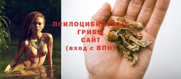 крисы Заводоуковск