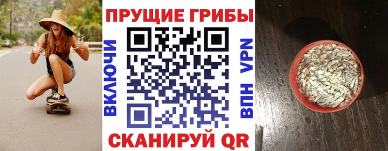 Купить  Лермонтов  Галлюциногенные грибы Psilocybe 